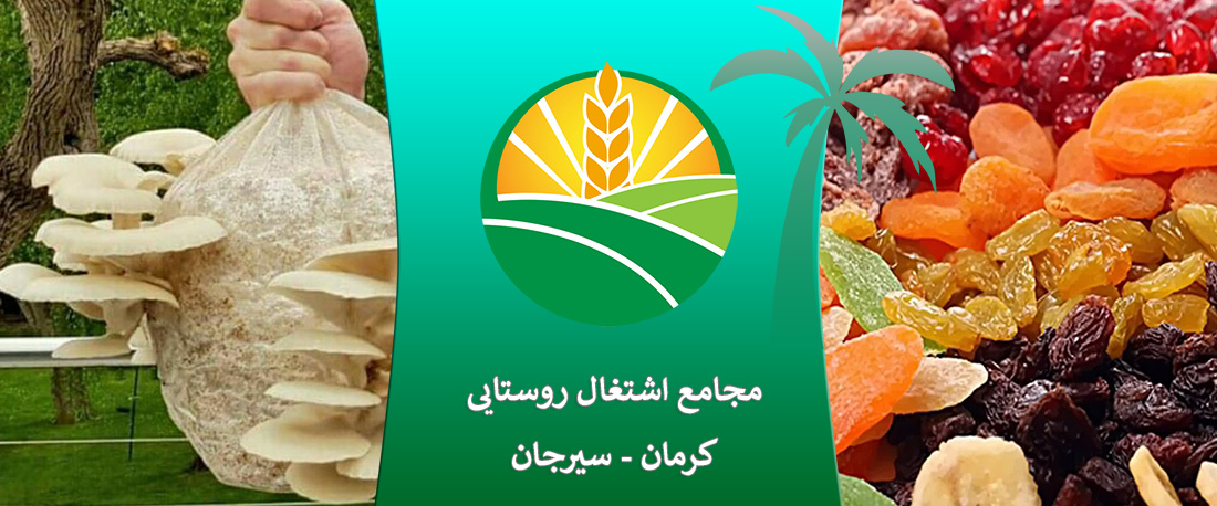 بنر1