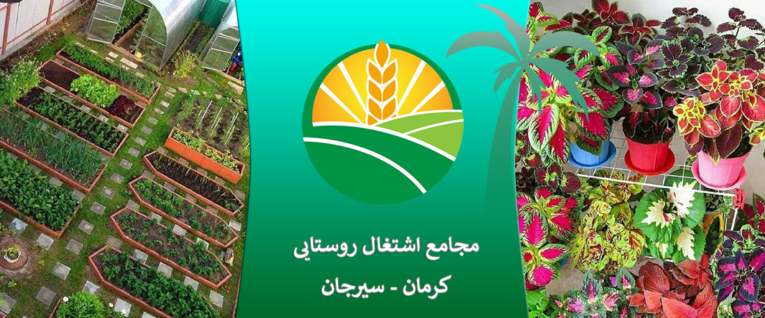 بنر2